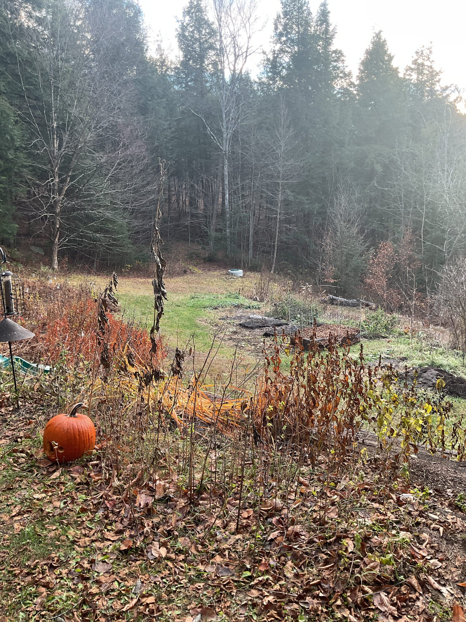 We were called out to diagnose the well system due to a significantly increased electric bill. During our diagnostics, we found that the pressure tank was bad. We also inspected the dug well and discovered a severely corroded, free-standing pipe inside the well casing that supplied water to the house. Because this repair required specialized equipment, we recommended that Valey Artisan or Wragg Bros evaluate the well for further repair options.

We also observed movement in the well water, which may have indicated a small hole in the line leaking back into the well. This condition could have caused the well pump to run continuously, contributing to the elevated electric bill.