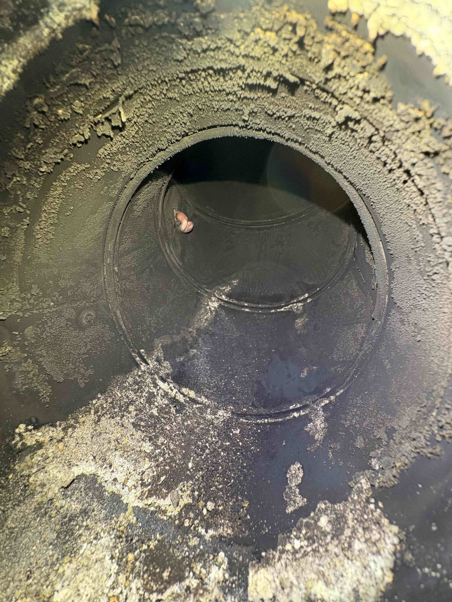 Performed annual maintenance on the Biasi oil boiler. Replaced the nozzle, filter, and strainer, and brushed and vacuumed the heat exchanger and flue pipe. Tested and confirmed the operation of all system safeties and burner components, and performed a combustion test, smoke test, and draft test. The system is operating properly at this time.

During testing, I found that the relief valve did not reseal after being tested. With approval, I replaced the leaking relief valve, purged air from the system, and confirmed proper operation.