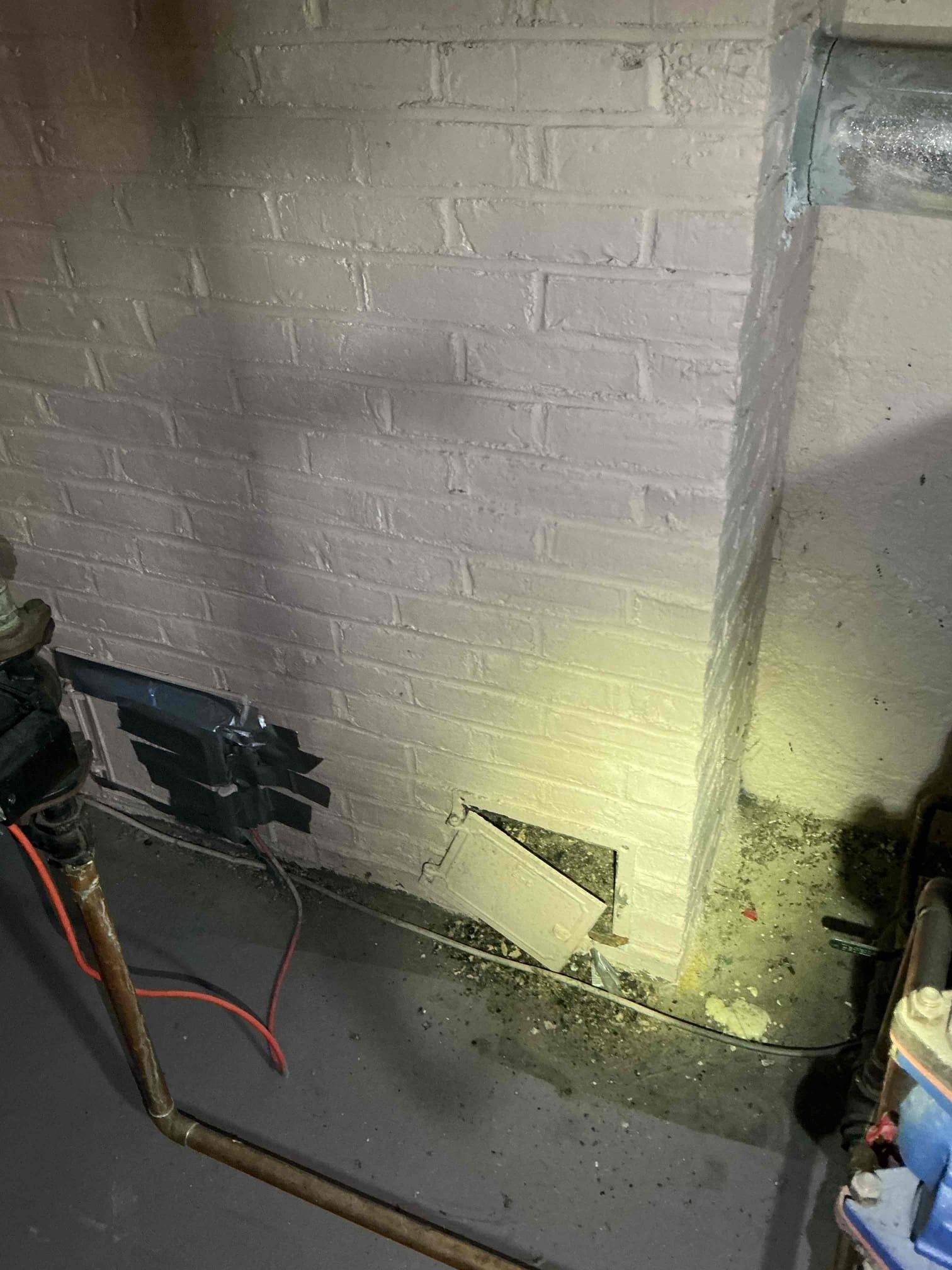 Looked at replacing boiler