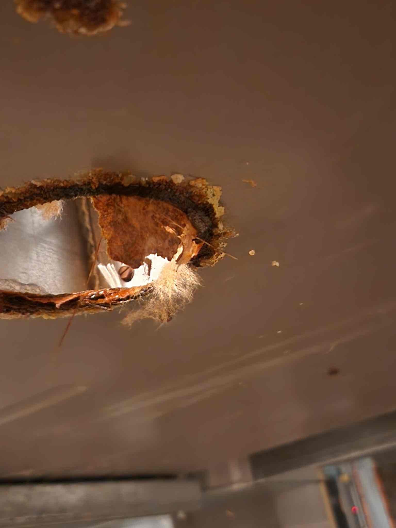 Furnace was not running upon arrival. Attempted to start furnace and did not light. Gas company had replaced .40 pressure switch yesterday. Blew through tube into condensate pan. Furnace lit, cycled power several times and continued to work. Checked incoming and out going gas pressure and was within manufacture specs 8-13 inches of water column. Gas pressure was 10 inches in and 10 inches out. Condensate pan appears to be cracked and leaking condensate on the floor. Recommended replacing the pan. Furnace is operational at this time. 