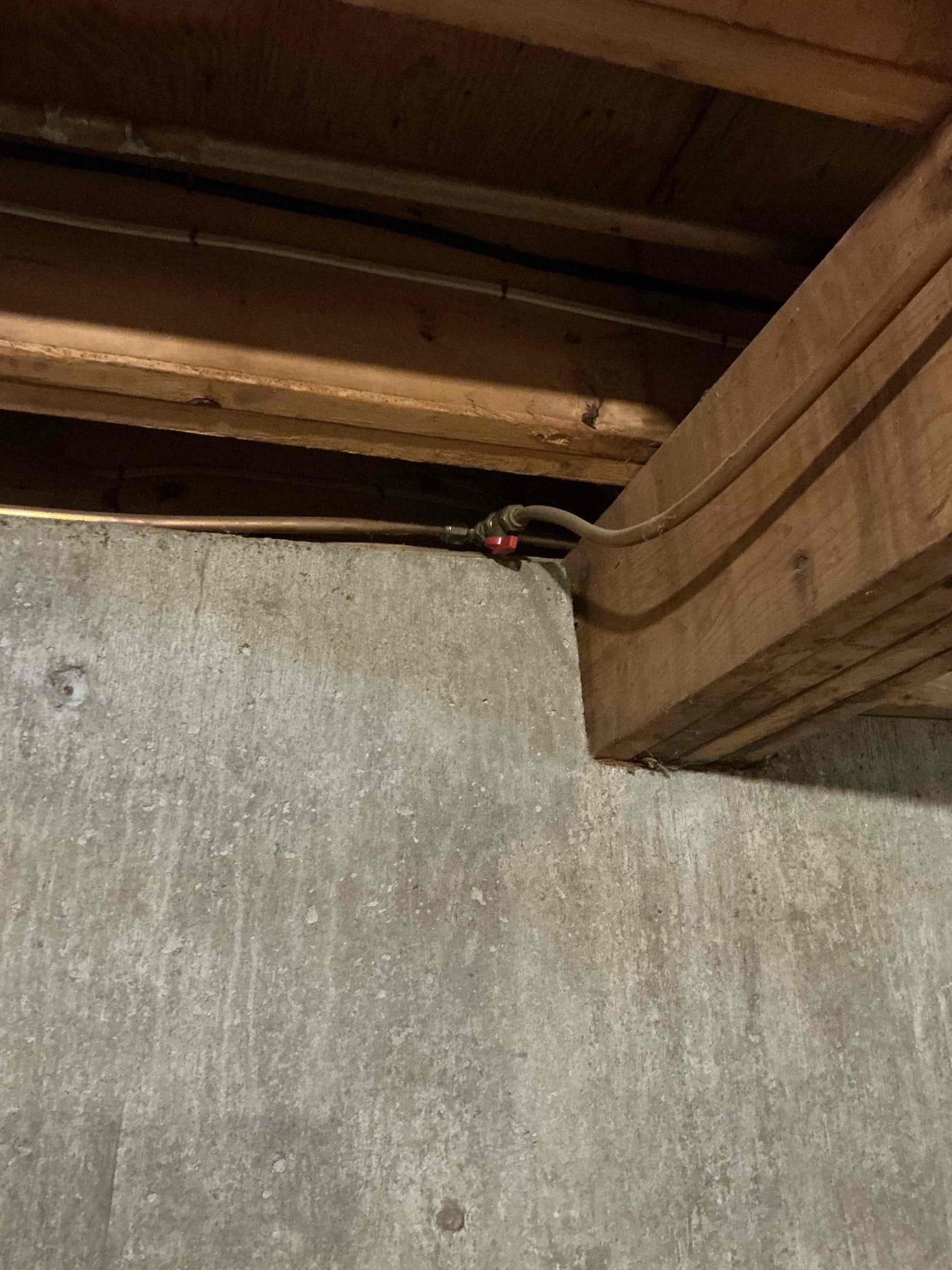 Looked at replacing boiler