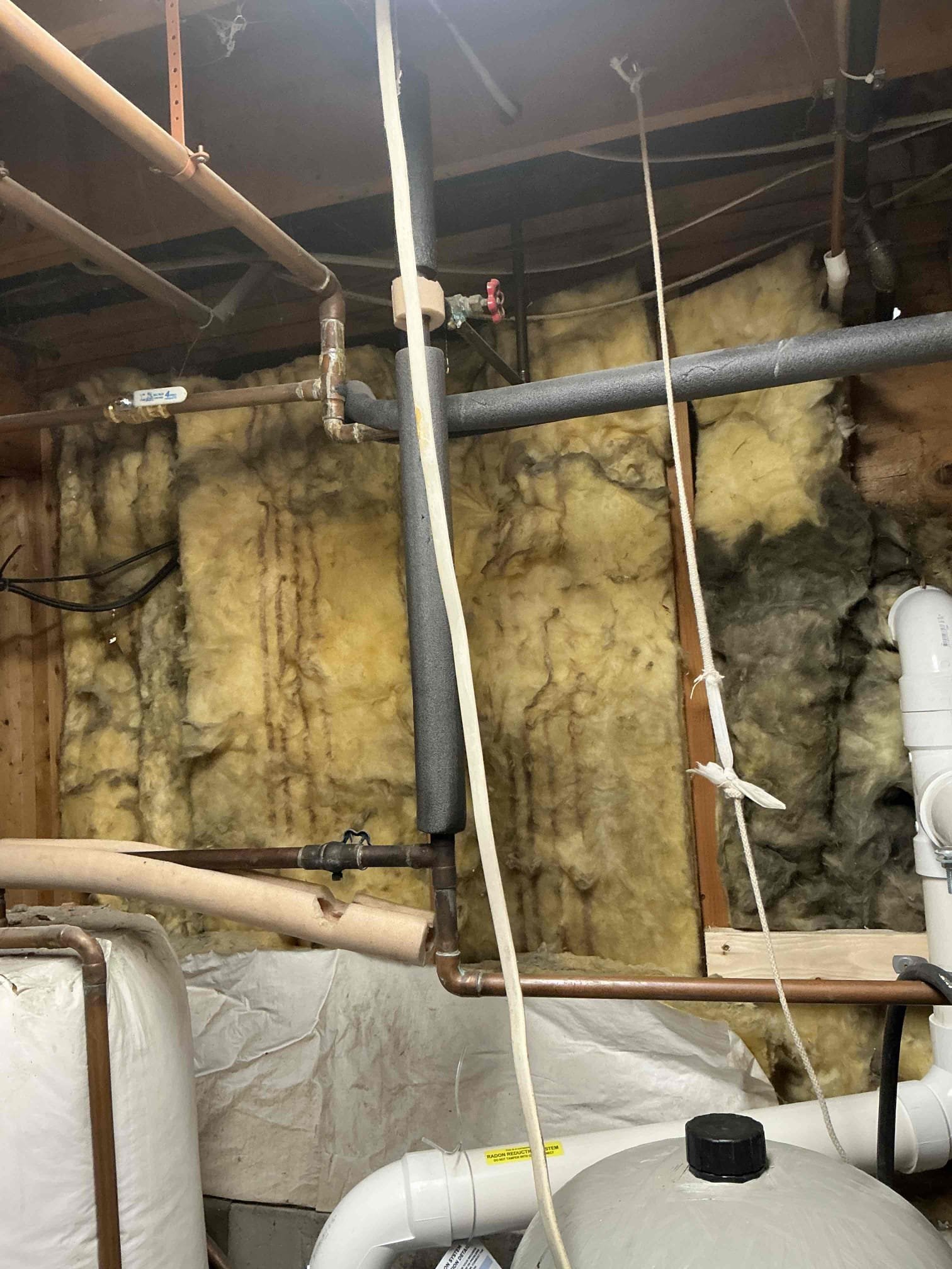 Looked at replacing propane water heater 