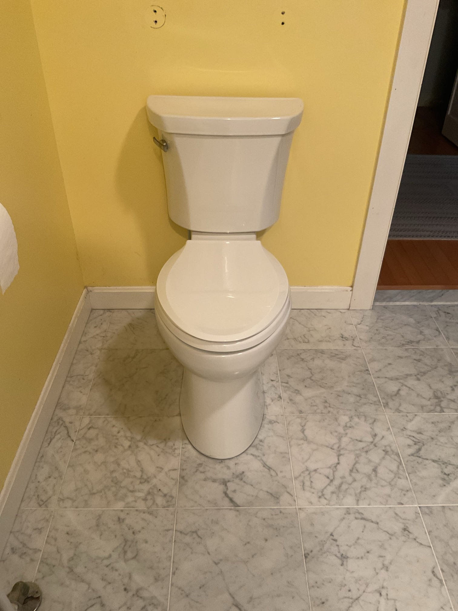 The homeowner requested an updated appearance for the bathroom through the replacement of existing plumbing fixtures.

The work performed included the removal of the existing gold lavatory faucet and the installation of a new brushed nickel lavatory faucet. The existing shower trim was removed and replaced with new brushed nickel shower trim. A new Kohler toilet was installed in place of the existing unit. In addition, all water supply stops for both the toilet and vanity were replaced, along with new escutcheons to provide a clean and finished appearance.


Upon completion, all fixtures were tested and verified to be operating correctly with no leaks.
