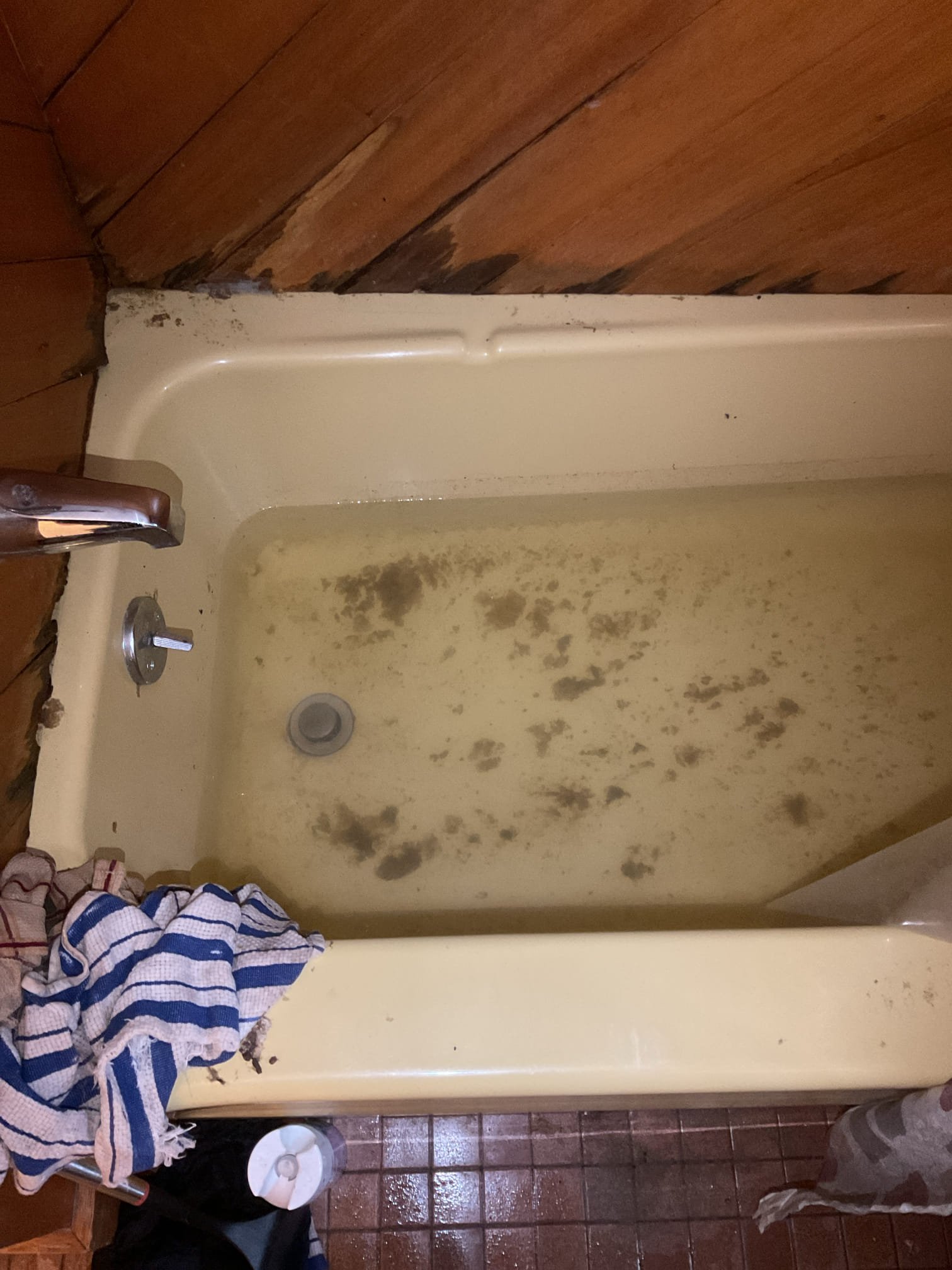 For this job, we responded to a septic backup causing wastewater to back up into the bathtub and leak from the base of the toilet. Due to the severity of the blockage, we recommended that Beards be called out to snake and clear the main drain line. The customer was advised that plumbing repairs would be completed after the drain was properly cleared. Once Beards completes the drain cleaning, we will return to replace the toilet with a customer-supplied unit and repair the leaking 90-degree fitting. All findings and recommendations were discussed with the customer on site to ensure a clear plan for corrective action.
