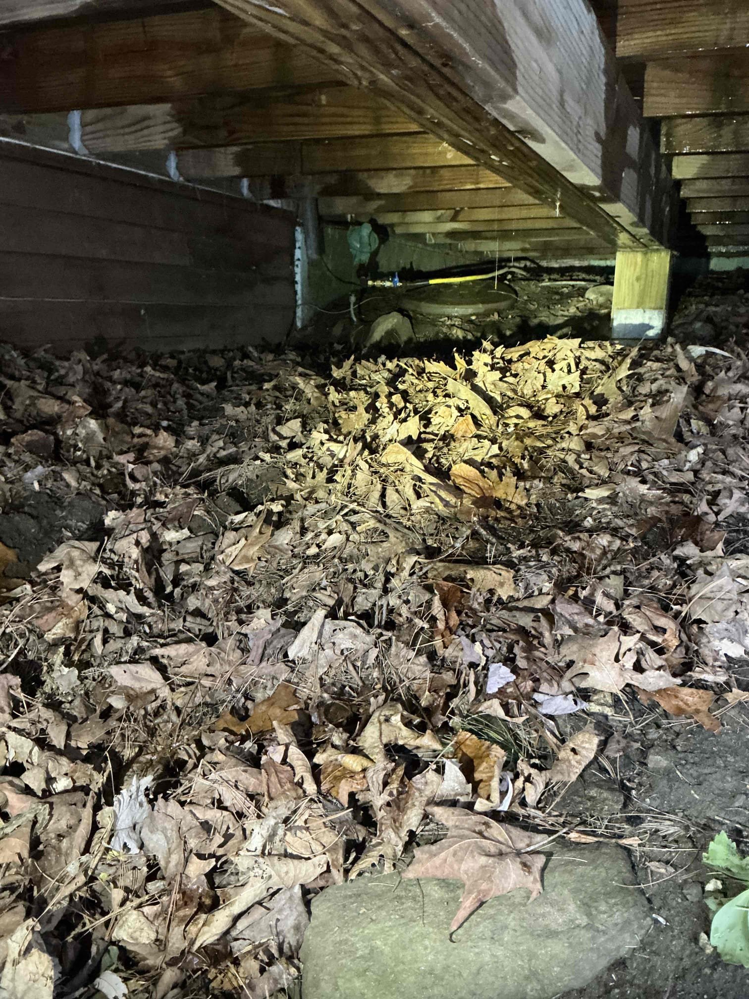 Looked at replacing boiler and water heater