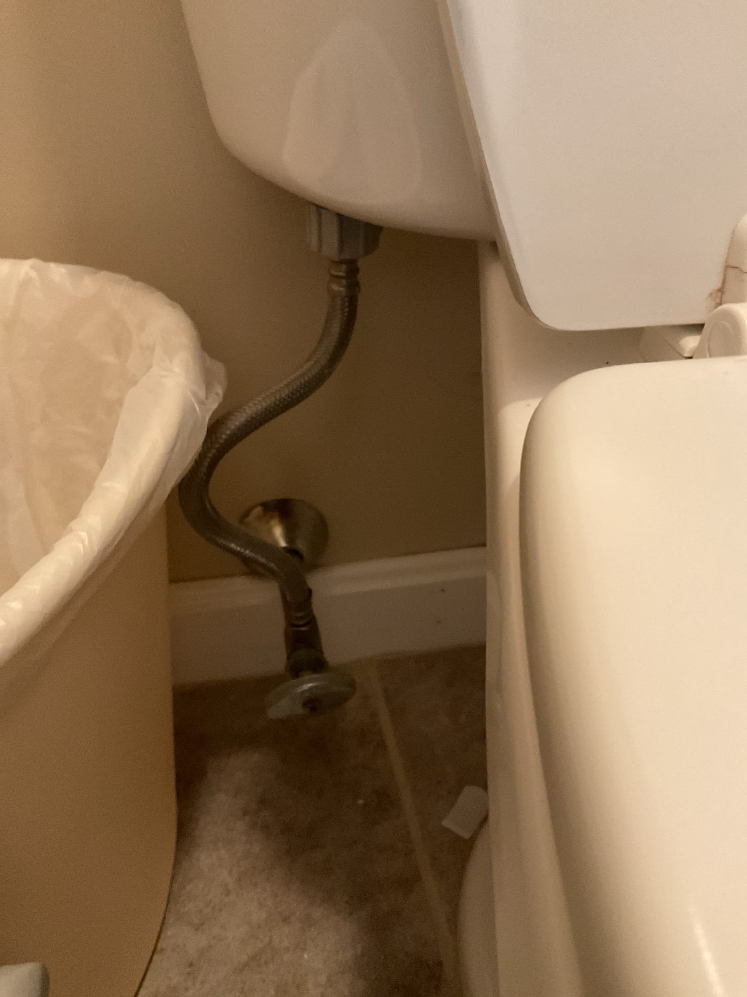 For this job, we came out to provide an estimate for the installation of a customer-supplied bidet toilet seat. The customer has already ordered the bidet seat, with delivery expected on 1/21/25. We discussed the installation process, confirmed compatibility with the existing toilet and water supply, and answered any questions the customer had regarding the installation. It was scheduled that we will return on 1/28/25 to complete the installation once the bidet seat has arrived.
