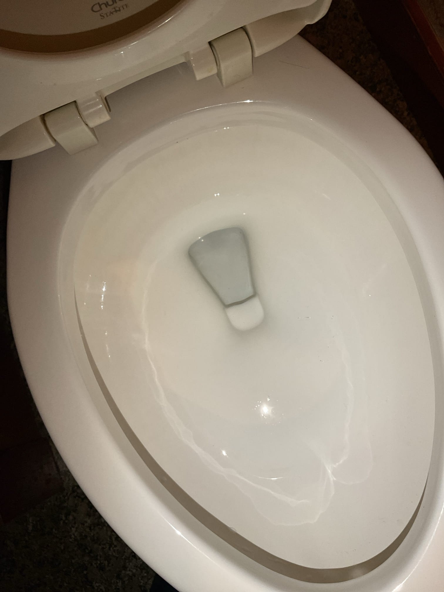 
The homeowner reported experiencing cloudy water and a significant amount of sediment in the bowls and tanks of their toilets following the installation of an automatic filter. To address this issue, we vacuumed and thoroughly wiped down all five toilet tanks and bowls to remove as much sediment as possible. Some residual staining remains in a few of the tanks due to older styrofoam components.

During the inspection, we also noted that the flapper in one toilet is beginning to deteriorate. While it is still functioning properly at this time, the homeowner was informed.

At this time, the issue has been resolved.