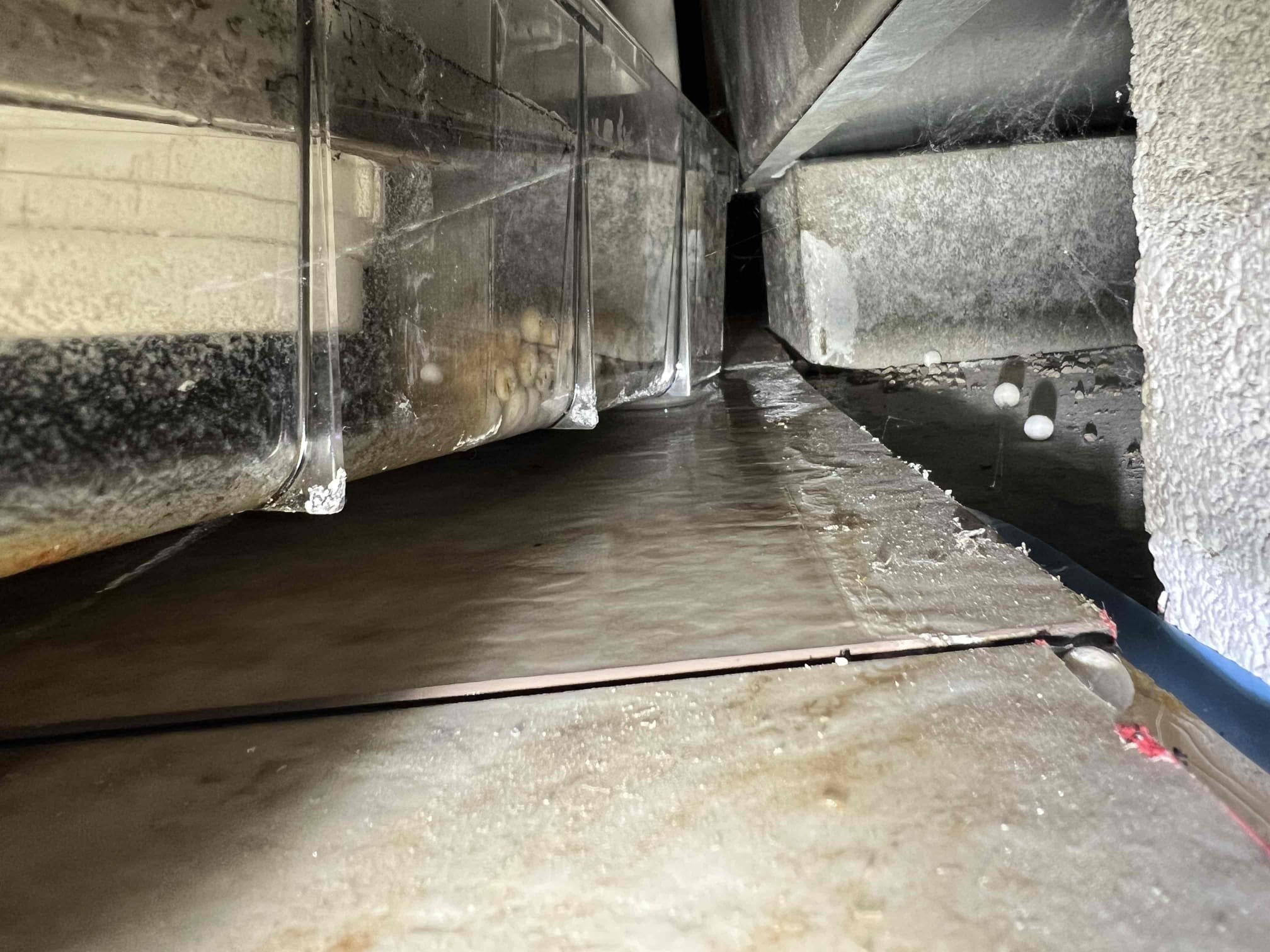 Arrived onsite to investigate water leaking from a condensate pump. We re-piped the condensate line from the furnace and installed new 3/8” vinyl tubing from the pump to the drain June 2025. We observed water leaking at the pump connection due to a loose hose clamp. The clamp was tightened and we verified there are no leaks at this time. We also provided an estimate to perform an annual furnace tune-up. This work was covered under Jerm’s warranty.