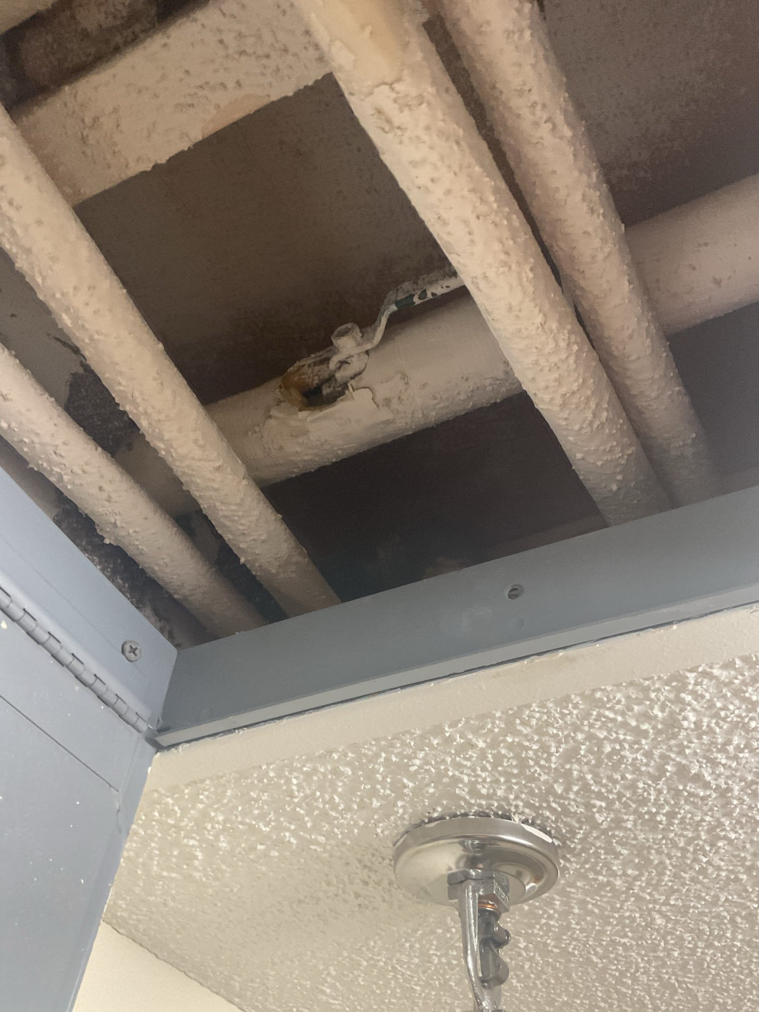 For this job I met with the homeowners to discuss the opportunity to replace the existing toilet with a Toto Aquila. Estimates will be provided via email