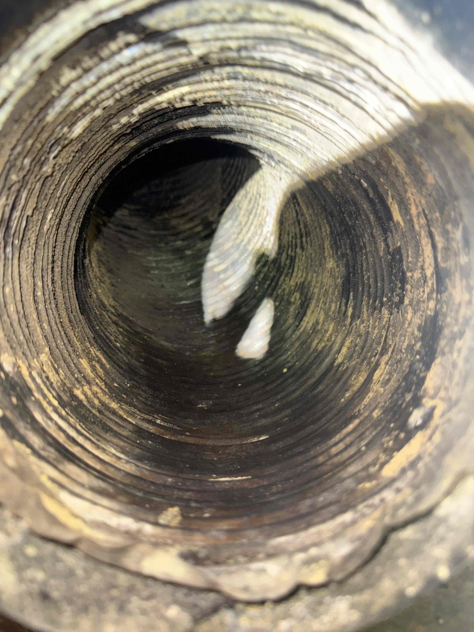 Performed annual preventive maintenance on the oil-fired boiler system. Service included a comprehensive inspection of all safety controls and operating components to verify safe operation, optimal efficiency, and compliance with manufacturer specifications.

Replaced the oil nozzle and oil filter, cleaned the fuel strainer, and thoroughly brushed and vacuumed the boiler heat exchanger and smoke pipe to remove soot and debris buildup. Conducted a combustion analysis and draft test to confirm proper burner performance and ventilation.

All readings were within acceptable ranges, and the boiler is operating properly at this time. Reviewed system safety controls and general operating guidelines with the customer.