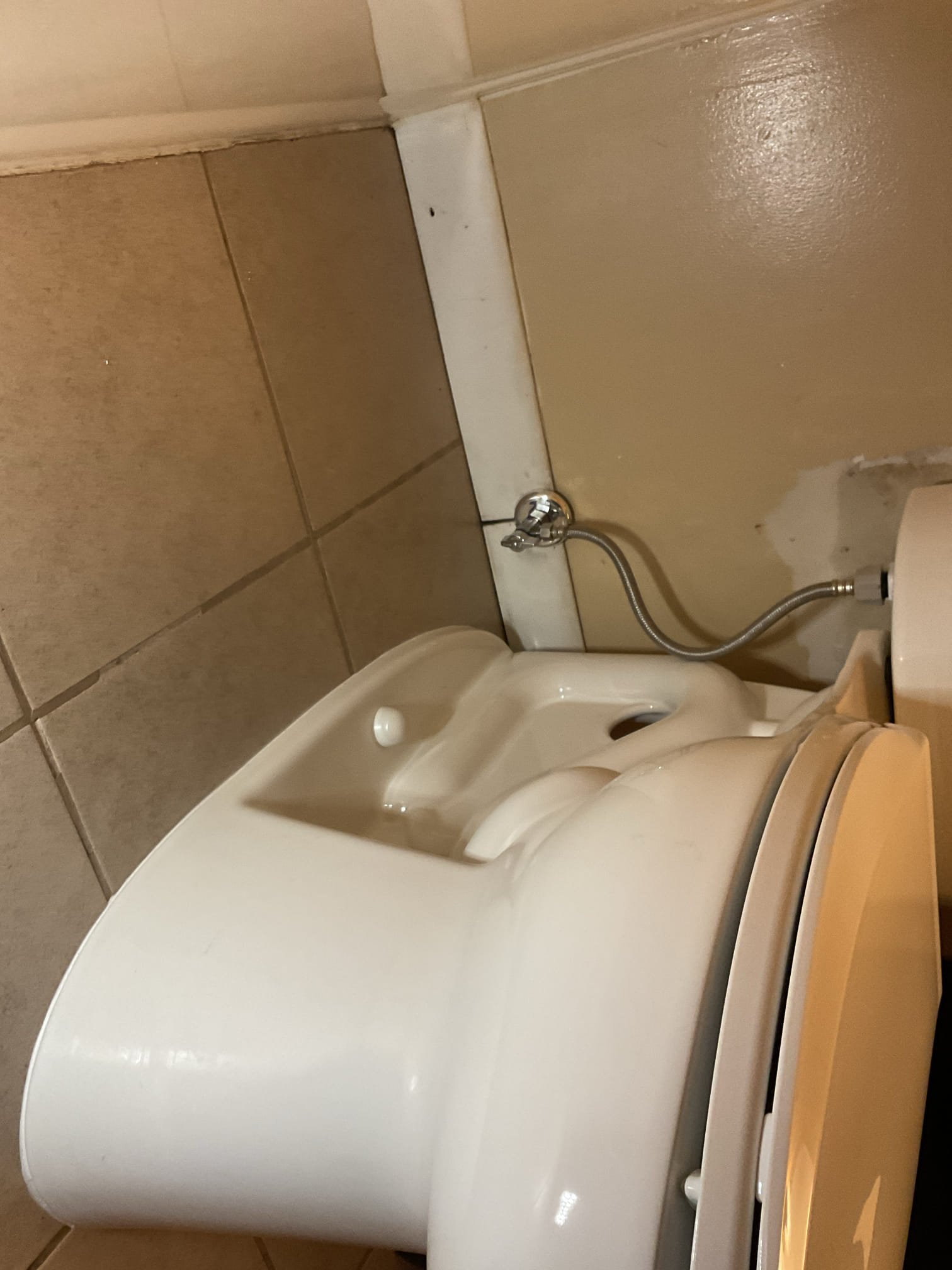 The existing primary bathroom toilet is outdated and showing signs of wear that affect performance and reliability. We proposed replacing it with a new Kohler Highline Comfort Height elongated toilet to improve comfort, efficiency, and dependable operation. We shut off the water supply to the toilet, drained the tank and bowl, unbolted the toilet, and removed and disposed of the unit. After removal, we thoroughly cleaned all surfaces and inspected the toilet flange, which was found to be in good condition. We replaced the flange screws and installed a spacer to raise the flange to floor level.

The existing emergency shutoff valve was proactively replaced due to its age and potential risk of failure. We recommended installing a new shutoff valve to improve reliability and ensure the water supply can be safely and quickly shut off if needed. While the toilet was removed, the house water was shut off and the system was fully drained. We unsoldered the existing valve, cleaned the pipe tho