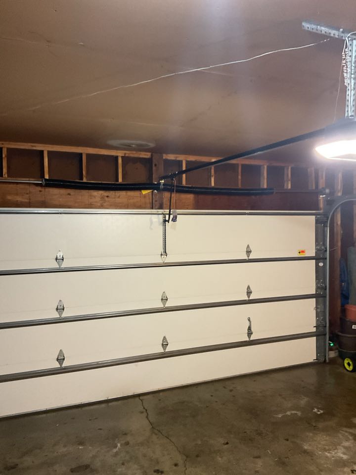 Garage door service, garage door repair, broken spring replacement LiftMaster professional installations Eagan, Minnesota