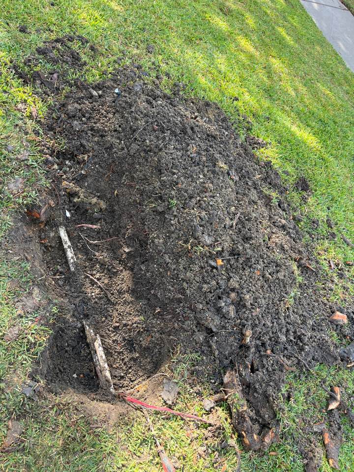 Sprinkler system Repaired main lines and lateral line with wires where tree was removed