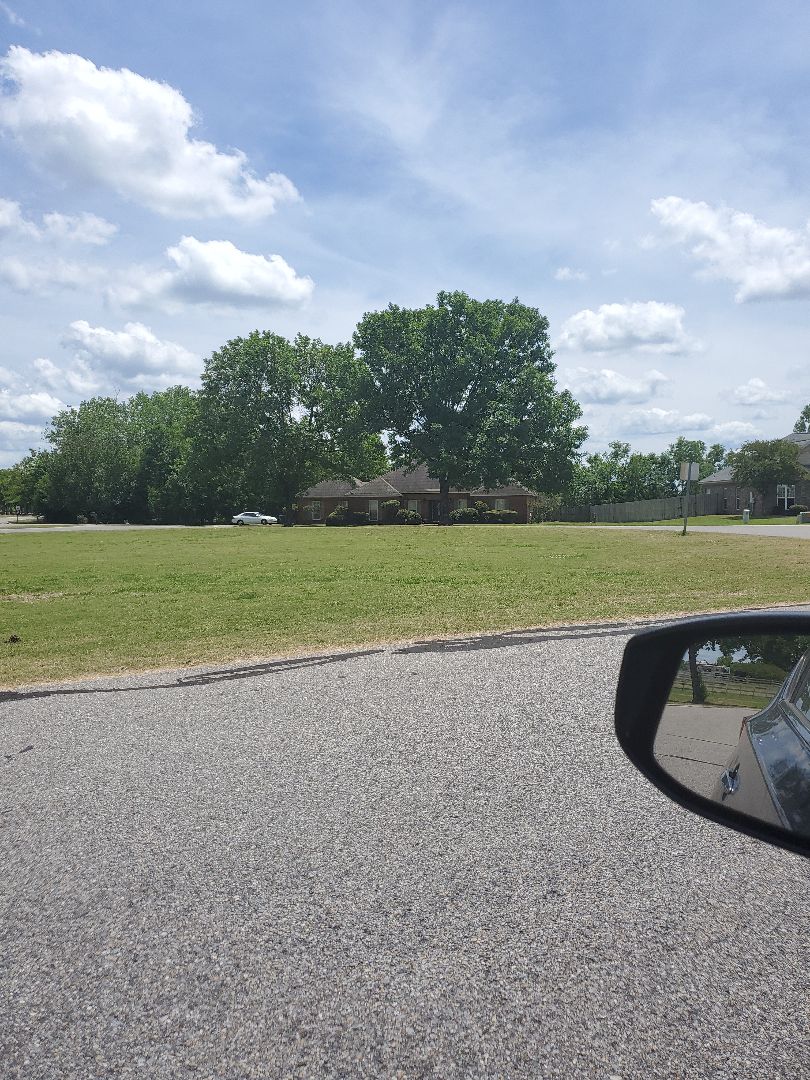 Potential roof cleaning