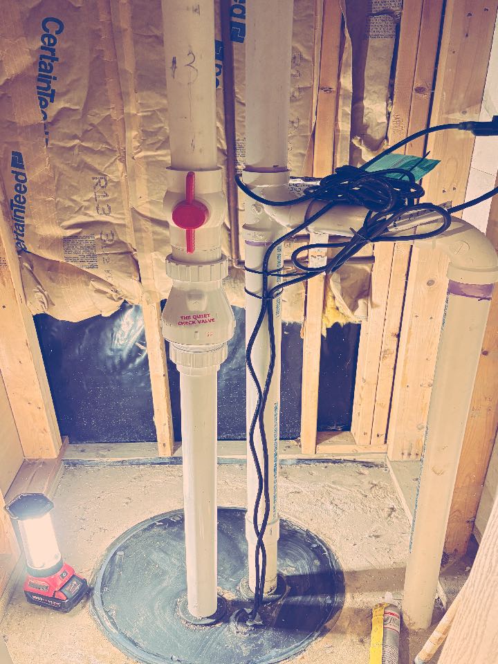 Ejector pump replacement in Willowbrook