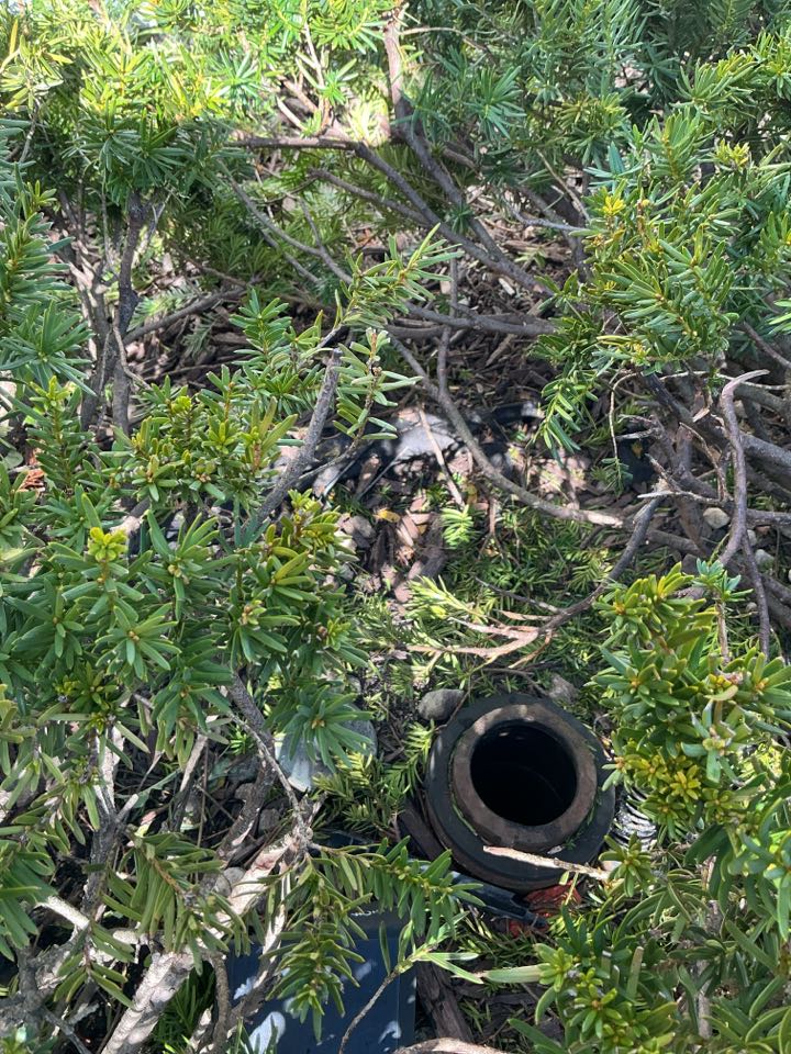 Downers Grove sewer back up 