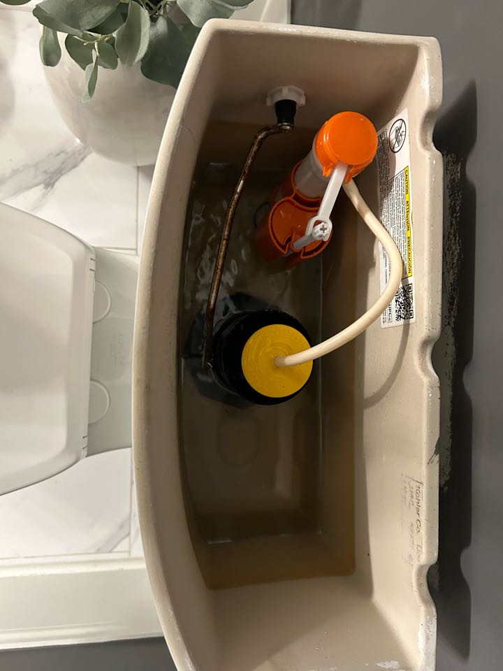 Drain cleaning and fill valve replacement in Elmhurst