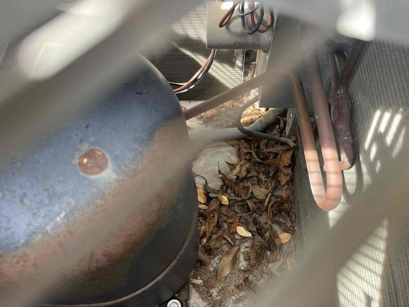 Performed spring maintenance on a 24-year-old HVAC system located in the attic of a 43-year-old home. Found significant debris accumulation (leaves, twigs, dirt) inside the unit which was cleaned out to improve system efficiency. Temperature readings with digital meter showed 53.6°F at the ductwork, and noted damaged insulation requiring attention in the attic space.