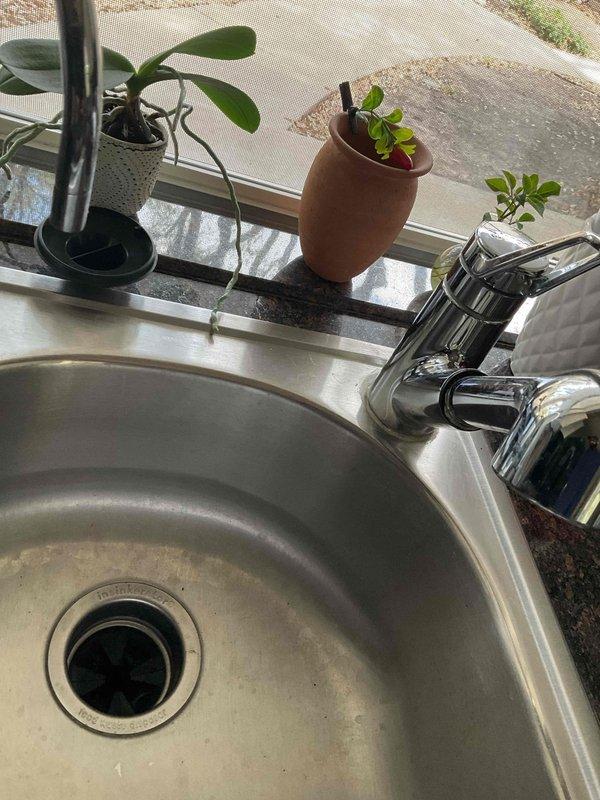 Completed documentation for previous service call by capturing required photographic evidence of kitchen sink installation and HVAC refrigerant line service port. Photos document existing conditions including stainless steel sink with chrome fixtures and insulated refrigerant piping with accessible service valve in crawlspace area.