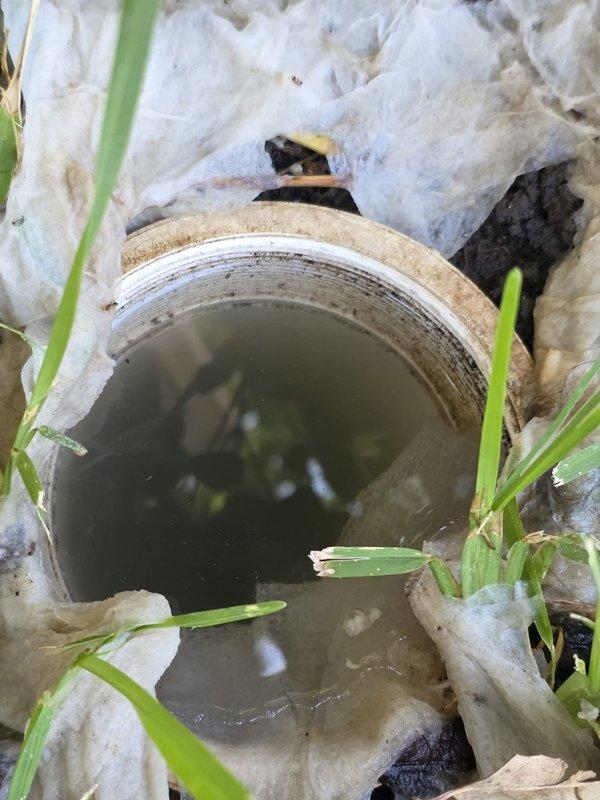 Responded to main sewer line backup between house and curb on residential property. Upon arrival, located cleanout access point and found standing water present in the line, indicating complete obstruction. Performed comprehensive plumbing system inspection documenting condition of all fixtures, supply lines, drain systems, water heater components, and accessible piping throughout kitchen, laundry, and bathroom areas. Captured photographic documentation of backed-up cleanout showing stagnant water level and PVC pipe condition. Completed full system assessment checklist covering stop valves, shutoffs, fixture conditions, water heater safety components, drain slope and support, and freeze protection measures to provide customer with complete overview of plumbing infrastructure on this 26-year-old home.