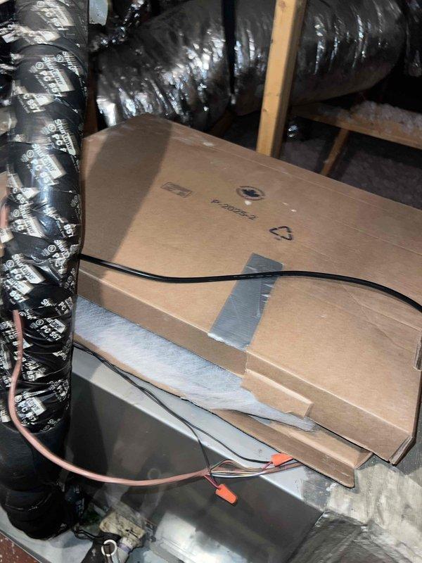 Responded to maintenance lead regarding microbial growth in supply plenum and contaminated blower assembly. Upon inspection, confirmed visible growth inside supply plenum and heavy dirt accumulation on blower wheel and return plenum. Documented conditions with photographs showing HVAC control board, wiring connections, and attic workspace setup. Assessed indoor air quality concerns and identified need for thorough cleaning and possible remediation of affected components to restore proper system operation and prevent air quality degradation.
