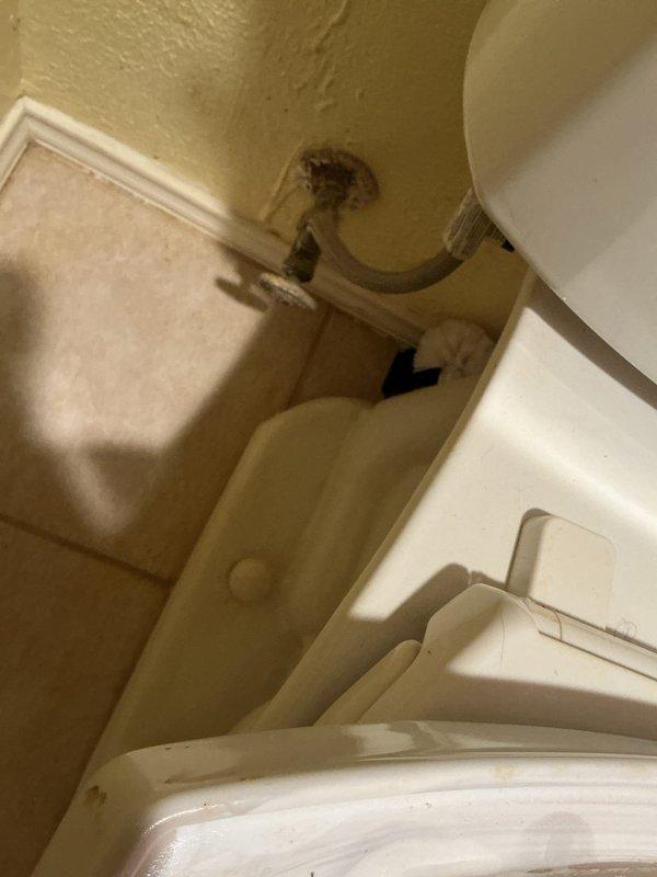 Performed member maintenance inspection at residential property. Investigated reported toilet leak with suspected wax ring failure. Upon inspection, identified water damage and staining on bathroom wall behind toilet near water supply line connection point, indicating active or previous leak at supply line rather than wax ring. Documented condition of toilet installation and surrounding areas. Conducted visual inspection of water heater system located in garage, confirming electric tank-type unit with standard safety labeling, expansion tank, and copper supply connections in serviceable condition. Photographed plumbing fixtures and conditions for maintenance records.