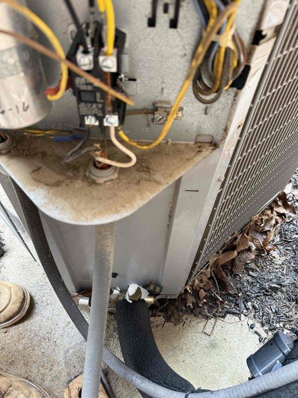 # HVAC Service Completed

Responded to service call for 13-year-old HVAC system with no airflow despite unit running. Upon arrival, performed comprehensive system inspection of both indoor air handler and outdoor condensing unit. 

Removed access panel from indoor air handler unit to inspect blower assembly and internal components. Found blower motor operational but identified airflow restriction issue. Inspected blower wheel, motor assembly, and electrical connections. Verified proper voltage supply and motor operation.

Proceeded to outdoor condensing unit where significant debris accumulation was discovered. Heavy buildup of dried leaves and organic material was blocking airflow at base and around condenser coil. Condenser coil showed substantial dirt and debris accumulation on fins, severely restricting heat transfer capability and system efficiency.

Cleared all leaves and organic debris from around unit perimeter and base. Cleaned condenser coil to restore proper airflow through 