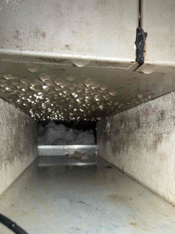 Responded to drainage issue in HVAC system. Upon inspection, found significant condensation accumulation throughout ductwork and evidence of moisture-related problems including standing water droplets on duct ceiling and biological growth on interior duct surfaces. Photographically documented evaporator coil condition showing dust accumulation on fins and drainage pathway. Identified compromised drainage system allowing moisture buildup and potential microbial contamination within air distribution system.