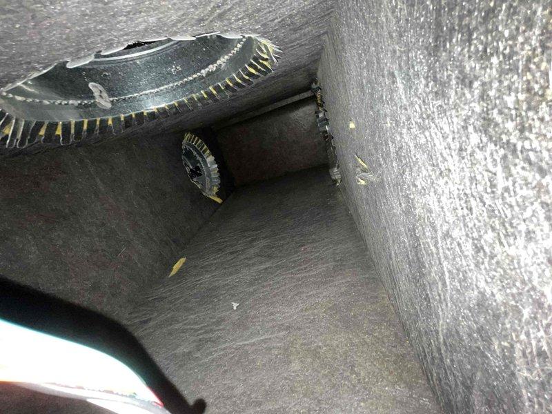 Performed seasonal preventive maintenance on a single-zone split system with an attic-mounted air handler. Inspected the blower assembly and found the squirrel-cage wheel and housing coated in light dust, with mineral deposits or corrosion residue on the wheel's galvanized hub plate, and inspected the lined supply plenum and trunk, which showed matted insulation with minor loose fibers and debris. The system is under one year old and no operational deficiencies were noted, though blower wheel cleaning and continued monitoring of the residue are recommended.