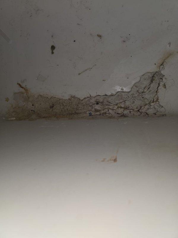 Performed a plumbing maintenance visit on a 1978 residence with a gas, tank-style water heater, and evaluated the secondary bathroom tub, which has been non-functional for several years, to establish a baseline for repair or replacement. Inspected the toilet tank and found corroded, degraded tank hardware, including a deteriorated bolt and washer with mineral staining on the lid, and noted dust and debris buildup with rust staining at the wall and surface junction. Findings were documented for repair and replacement planning.