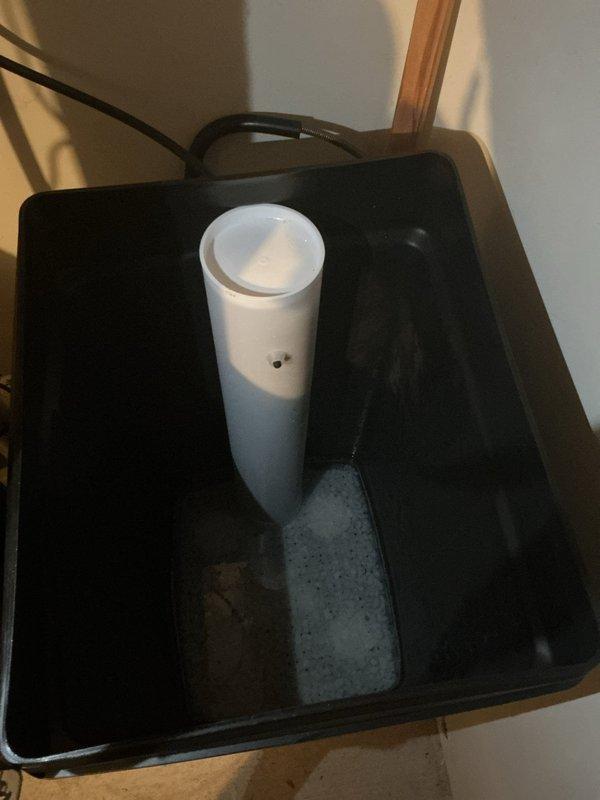 Responded to a garbage disposal complaint and inspected the plumbing system. Documented the existing water heater, including its flue, expansion tank, and insulated supply lines, and photographed the containment basin showing standing moisture and mineral residue at the base of the standpipe. Recorded system conditions to establish a baseline for the account and noted the flue condition for follow-up evaluation.