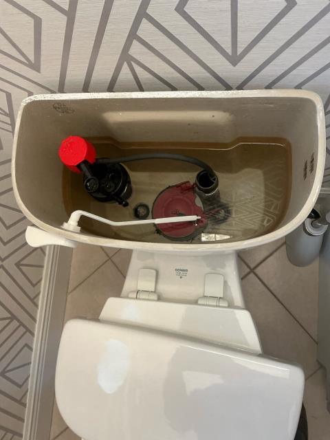 I replaced the toilet in the upstairs guest bathroom and replaced the closet flange underneath it as well. I also replaced the toilet seat and rebuilt the toilet in the downstairs powder bathroom. Then I did a video inspection of the sewer system.