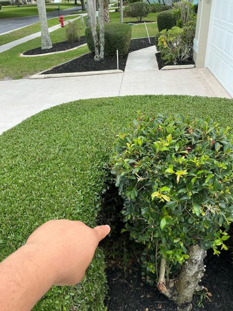 Port St. Lucie, FL - I inspected the condition of the sewer system of the house and found that there is a break in the line that has a patch over it. It’s about 56’ from the clean out in the bushes on the front right corner of the house. I wouldn’t expect it to cause any problems because it is in the top section of the pipe, water should pass right through without having any problems.