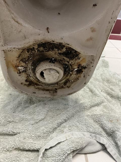 Greenacres, FL - I pulled the toilet in the handicap stall of the woman’s restroom at the clubhouse. I found it had been set with a rubber seal instead of a wax seal and it was misshaped and worked. Then I found a wad of paper hand towels had gotten caught on a tampon applicator, that was stuck inside the bottom of the toilet. I removed the obstruction and reset the toilet. I tested it several times and it is working properly at this time.