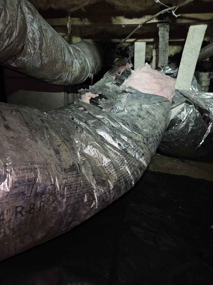 completed the fall maintenance on a carrier split heat pump.  whole house system, 2 floors, one thermostat. 

system checked out well, but found issues with the ductwork. appears that animals have torn and damaged the duct in multiple places. quoted to repair the ductwork