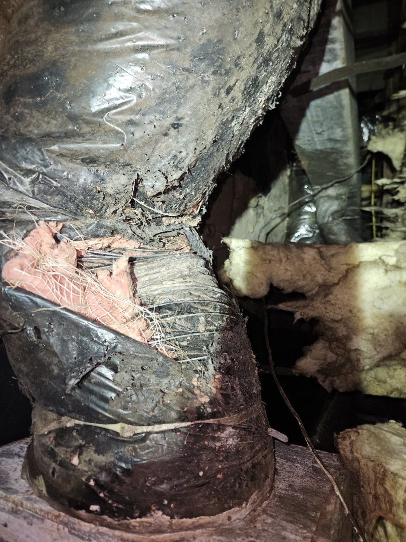 completed the fall maintenance on a carrier split heat pump.  whole house system, 2 floors, one thermostat. 

system checked out well, but found issues with the ductwork. appears that animals have torn and damaged the duct in multiple places. quoted to repair the ductwork