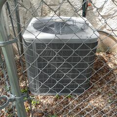 Diagnostic on A/C system. The homeowner said the motor Is making noises and shuts off. Found lots of growth in the indoor system. Replaced April Aire Filter 