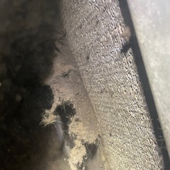 The thermostat is set to cool but ac not running. Frost and ice are starting to form around the suction line. The evaporator coil is extremely dirty with large build-up of dirt and growth. Wash and cleaned coil and repaired ac unit. 