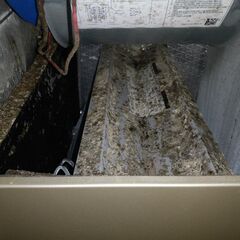 Maintenance of Carrier Heat Pump system and filter replacement on Aprilaire 5000. Found lots of mold inside the unit and on the outside of the air vents. Gave homeowner options for IAQ testing to remove mold from the air conditioner. 