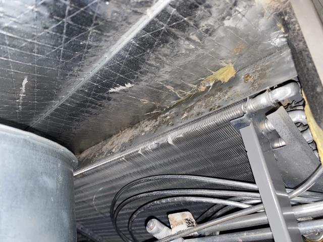 Carrier HVAC maintenance.