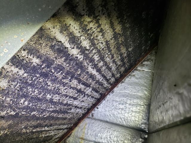 The filter on this HVAC Heat Pump system had not been changed regularly. This caused a lot of dust to accumulate on the Evaporator coil. This caused the system to not cool very well, even freeze up at times. We cleaned the coil and it is working much better now