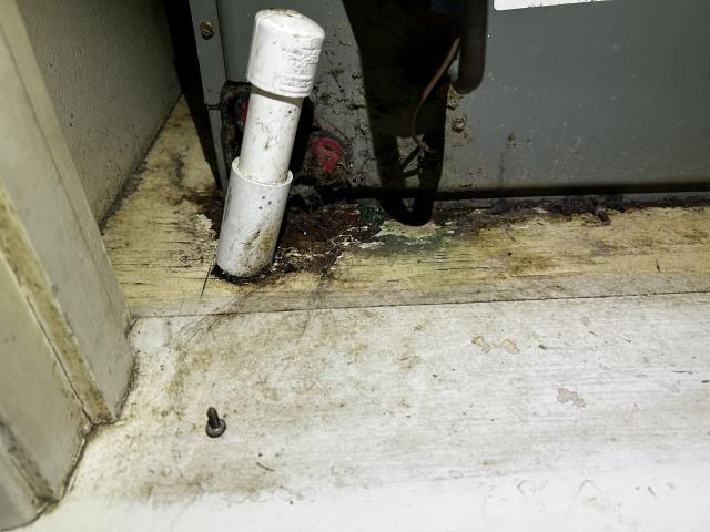 AC not getting cold. Air conditioner platform moldy. Outdoor air conditioning unit dirty. Replace or repair compressor.