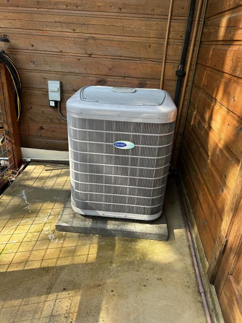 Carrier Infinity heat pump maintenance and a/c tune up. 