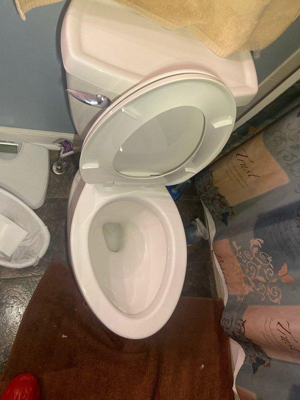 Performed comprehensive plumbing inspection in response to customer's concern about doubled water bills. Examined exterior faucet where customer had previously identified a leak, then conducted thorough inspection of bathroom toilet and under-sink plumbing assembly. No additional active leaks were detected in the inspected fixtures; all P-trap configurations, supply lines, and drain assemblies appeared properly sealed and functioning normally.