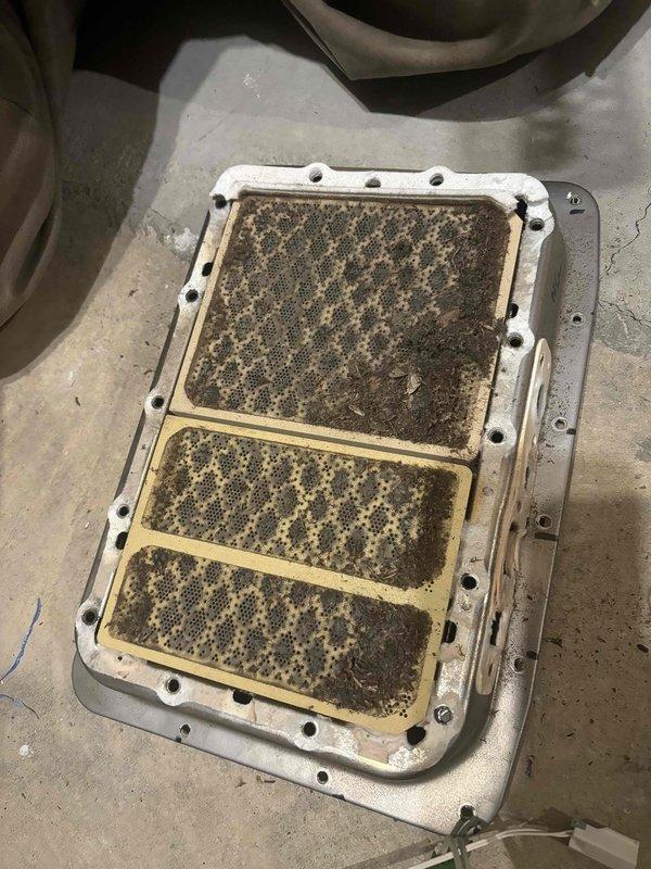 Completed burner pull and clean service on heating system installed approximately 2014/2015 that was producing horn-like noise when engaged. Removed heavily contaminated filter assembly with significant dirt/debris buildup and thoroughly cleaned burner components to restore proper operation and eliminate noise issue. System now functioning as designed with improved airflow and combustion efficiency.