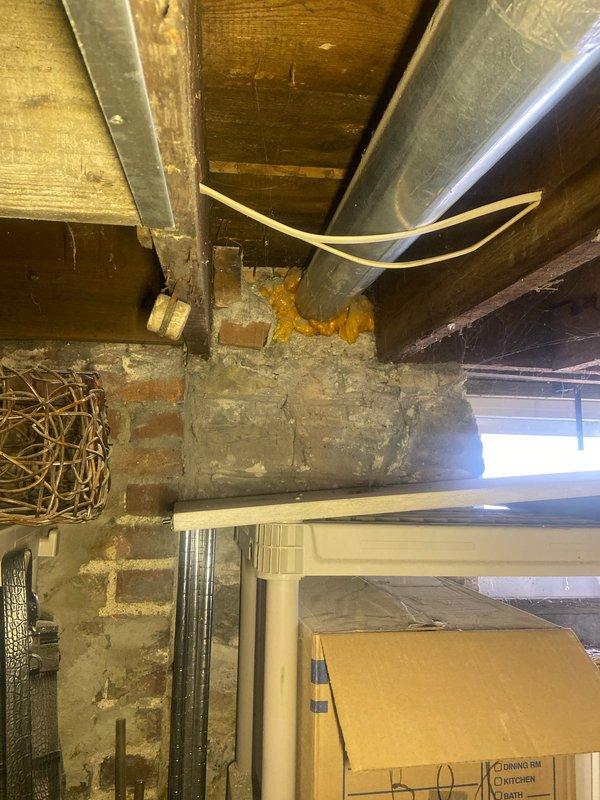 Conducted assessment of 20-year-old tankless water heater in basement for potential replacement. Inspection revealed system is currently operational but approaching end of service life. Examined surrounding infrastructure including ventilation ducts and water supply connections mounted on masonry wall. Documented existing installation conditions to prepare appropriate replacement options.