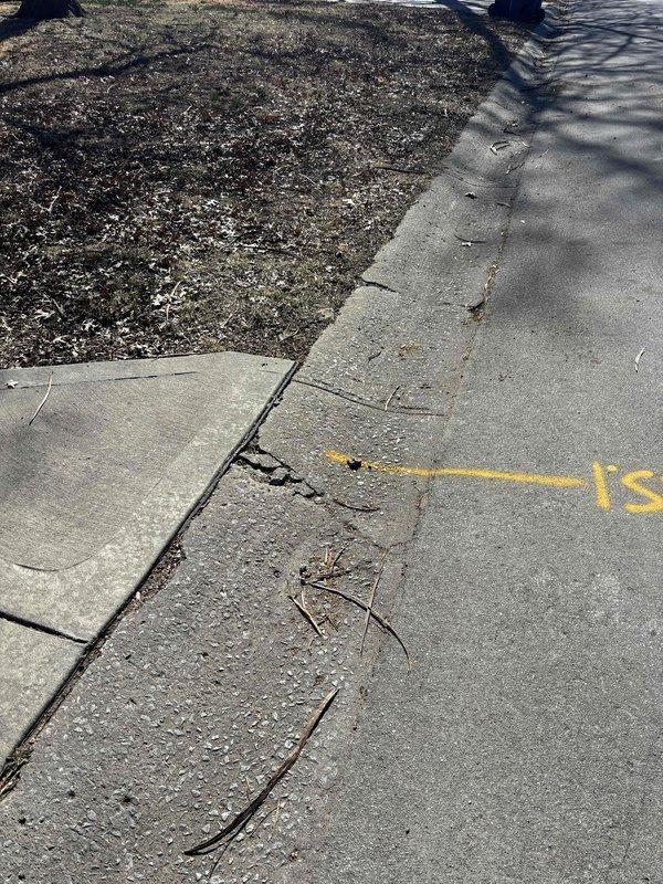 Conducted on-site assessment for sewer line replacement from cleanout to main line, documenting extensive calcium buildup and deteriorated clay pipes. Identified concrete damage near the service area and documented existing conditions with photos for estimate preparation. Customer to be contacted at provided number to discuss detailed replacement options.