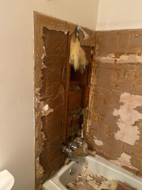 Conducted plumbing assessment and inspection of existing under-sink plumbing showing signs of aging and possible water damage. Evaluated bathroom currently undergoing demolition with exposed wall cavity, visible studs and insulation around bathtub area. Documented customer requirements for multiple plumbing upgrades including installation of shut-off valves, new water/drain lines for laundry room, exterior faucet repair, and shower head relocation for bathroom remodel project.