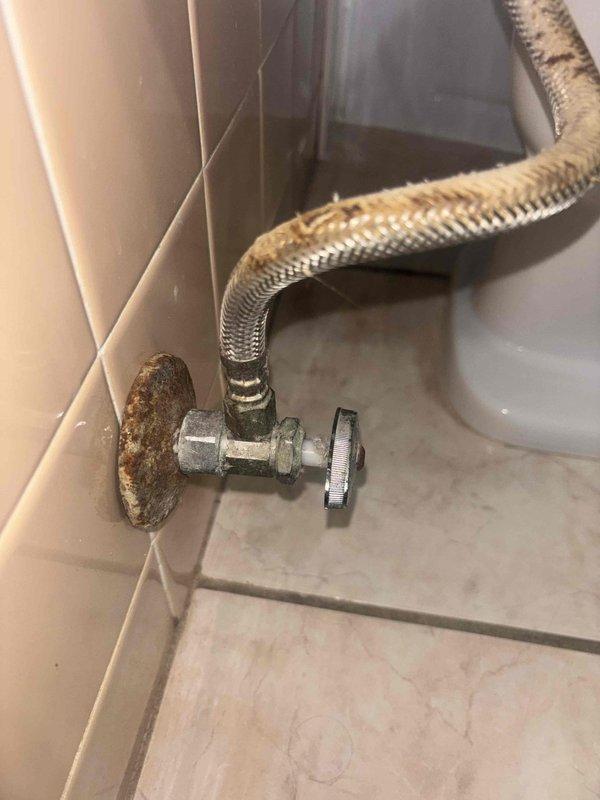 Replaced severely corroded bathroom valve and installed new toilet tank internals to restore proper flushing function. Serviced outdoor spigot as requested, replacing deteriorated components to prevent leaking and ensure proper operation.