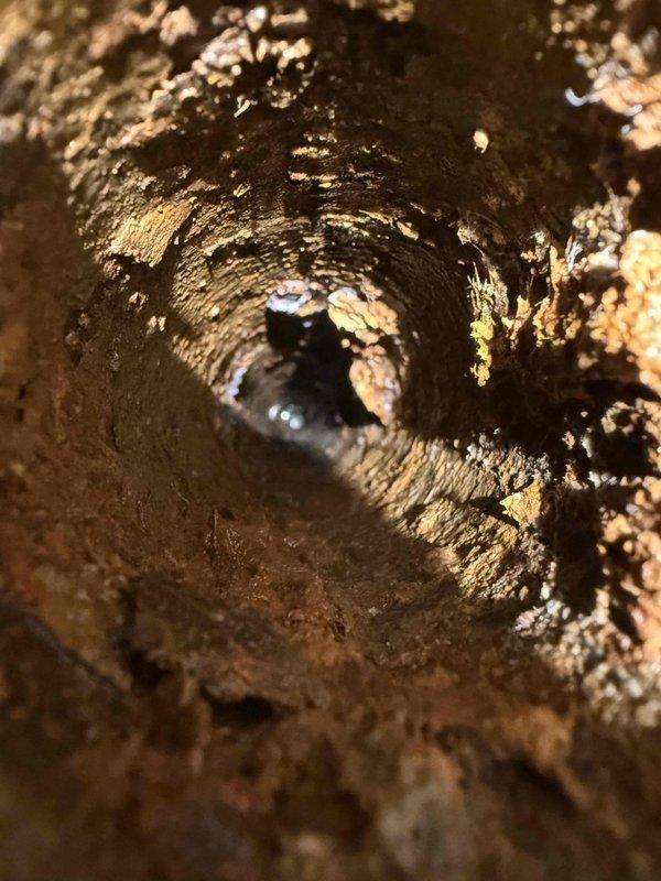 Responded to service call for clogged laundry stack affecting washer drainage. Inspection revealed significant pipe corrosion with extensive rust deterioration compromising structural integrity. Successfully cleared the obstruction and documented the severely damaged sections requiring future replacement to prevent recurrence.